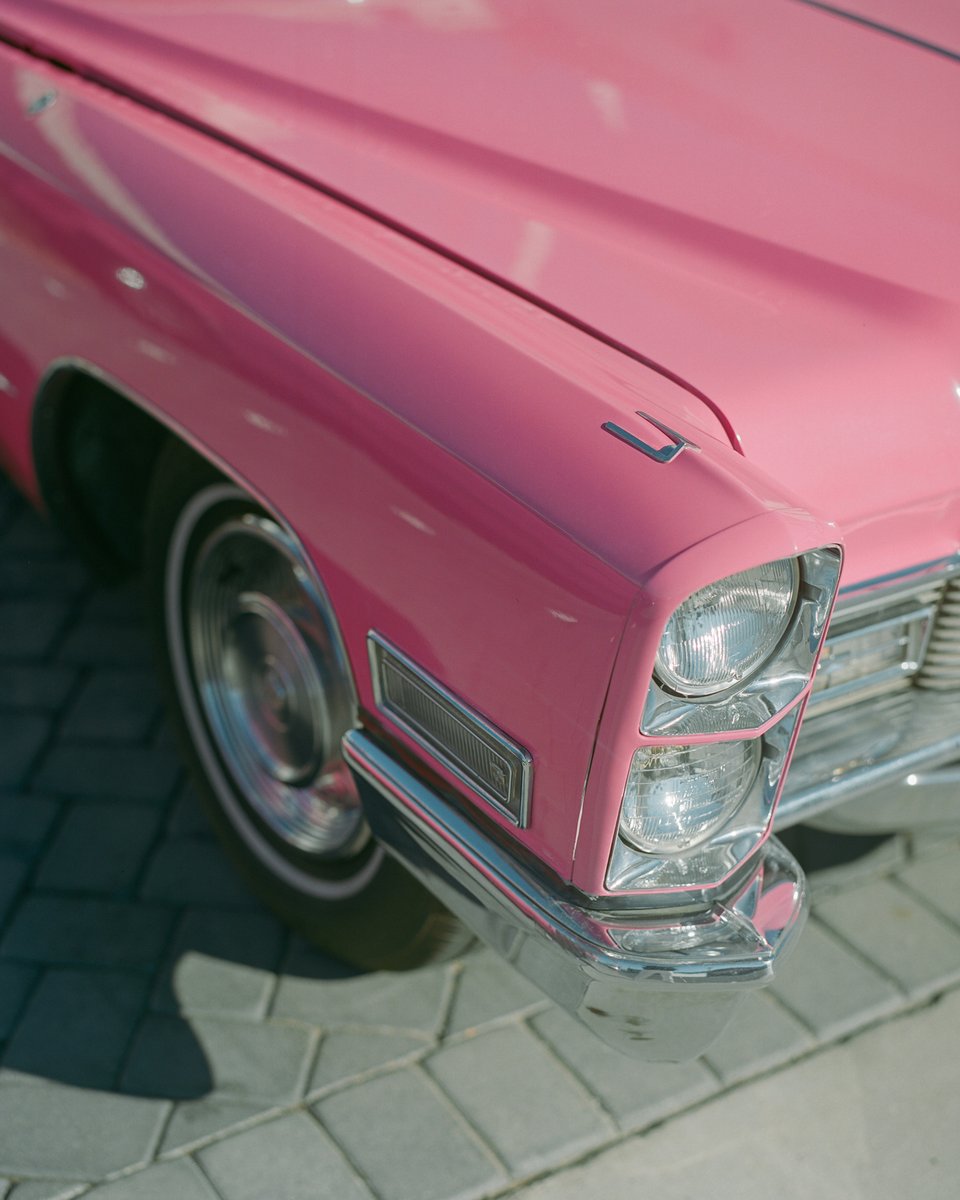 dinokuznik's tweet photo. Pink isn't just a color https://t.co/LrDzh01h0Y