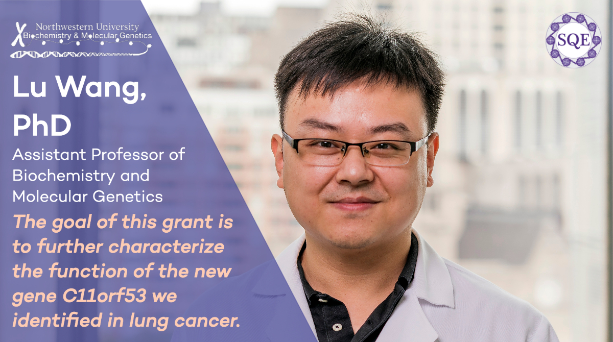Congratulations to Lu Wang on receiving a U.S. Department of Defense (DOD) grant! <a href="/LuWangLab/">Lu Wang_Northwestern U</a> @DeptofDefense #lungcancer