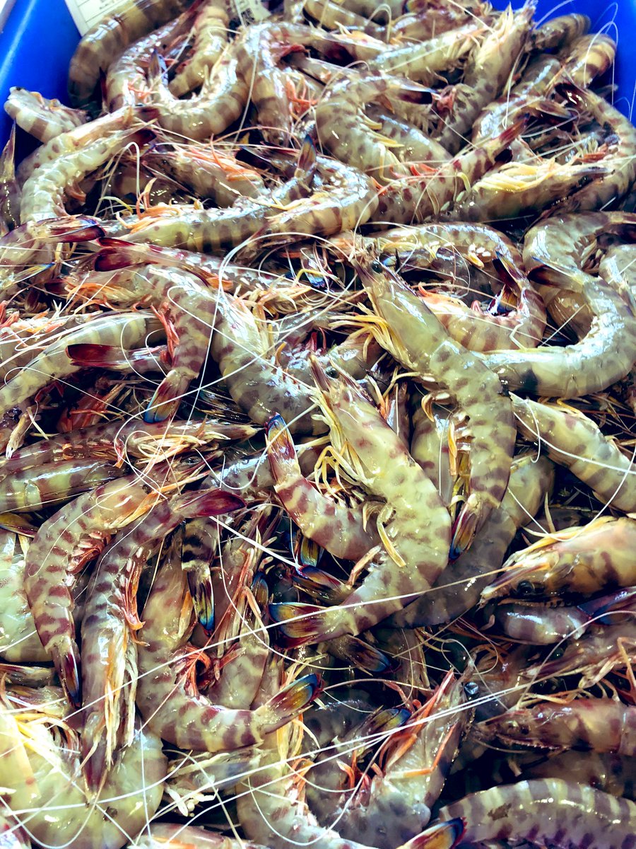 VentAurelio's tweet photo. LOS DEL ALBA PARA ESTA NOCHE DE FERIA DEL MOSCATEL SÓLO EN VENTAURELIO##ventaurelio https://t.co/b3002oIhiY
