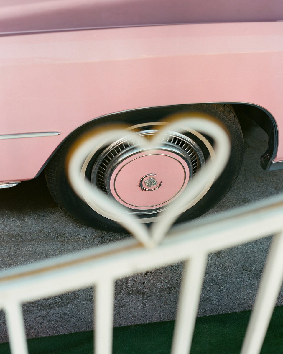 dinokuznik's tweet photo. Pink isn't just a color https://t.co/LrDzh01h0Y
