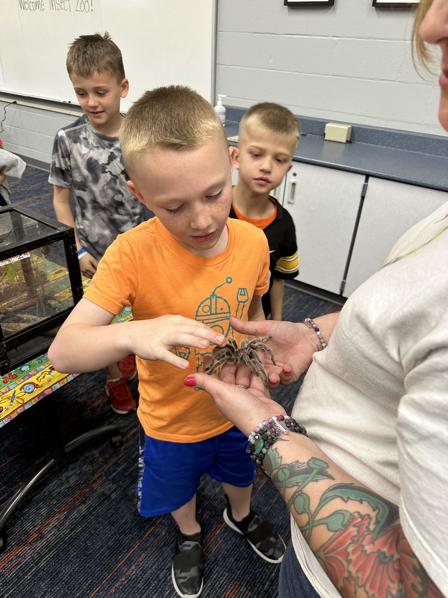 WendyEWheeler's tweet photo. A great day in 2nd grade having the @ISUInsectZoo visit us today thanks to our grant from the @SolonEdFound! #soloncsd https://t.co/T5Bo4LCkH1