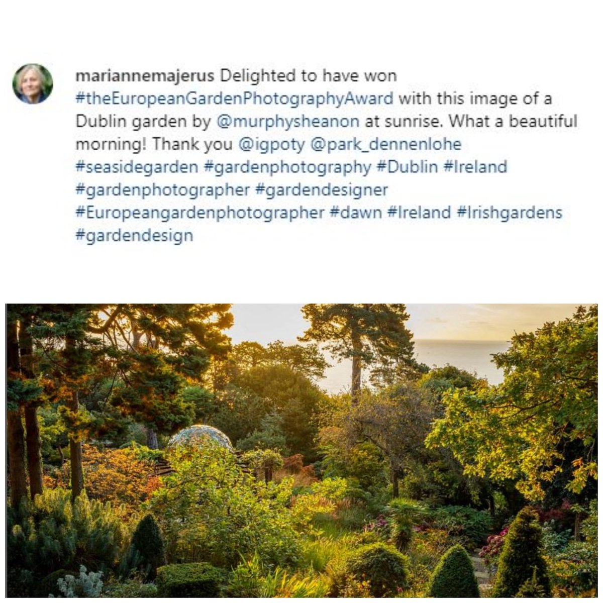 carraghpaving's tweet photo. This garden in Dublin was designed by @murphysheanon, installed by the Carragh team and photographed by @mariannemajerus 
Marianne went on to win #theeuropeangardenphotographyaward with this image.
We are beyond proud to have been involved in such a fabulous project! https://t.co/LtEkHN62K9