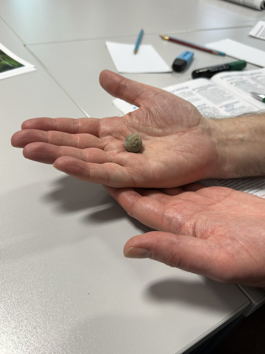 Attention2place's tweet photo. Looking at artefacts from real recent excavations #Collaborativegeographies #GAConf23 https://t.co/AhkL9NH3Go