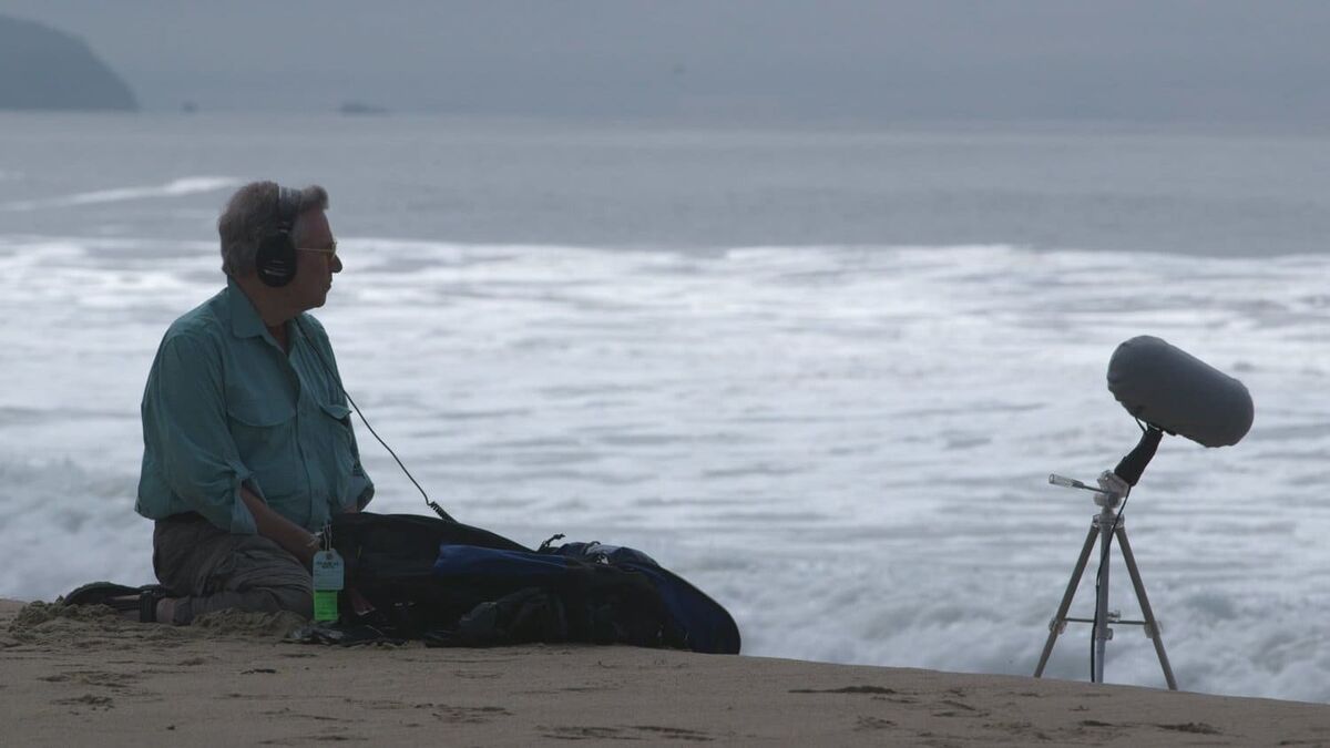 The School of Sound tweet media