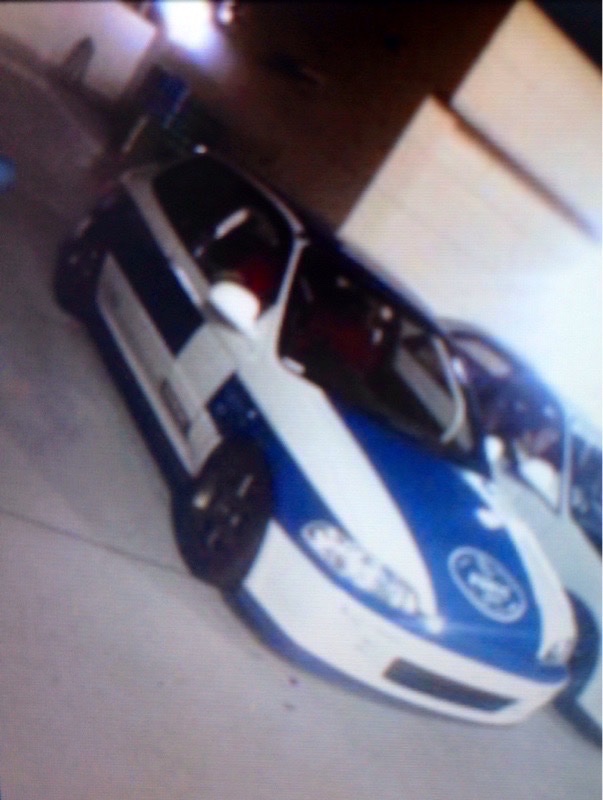 00skanjo's tweet photo. #panicracing https://t.co/qHApusW8cY