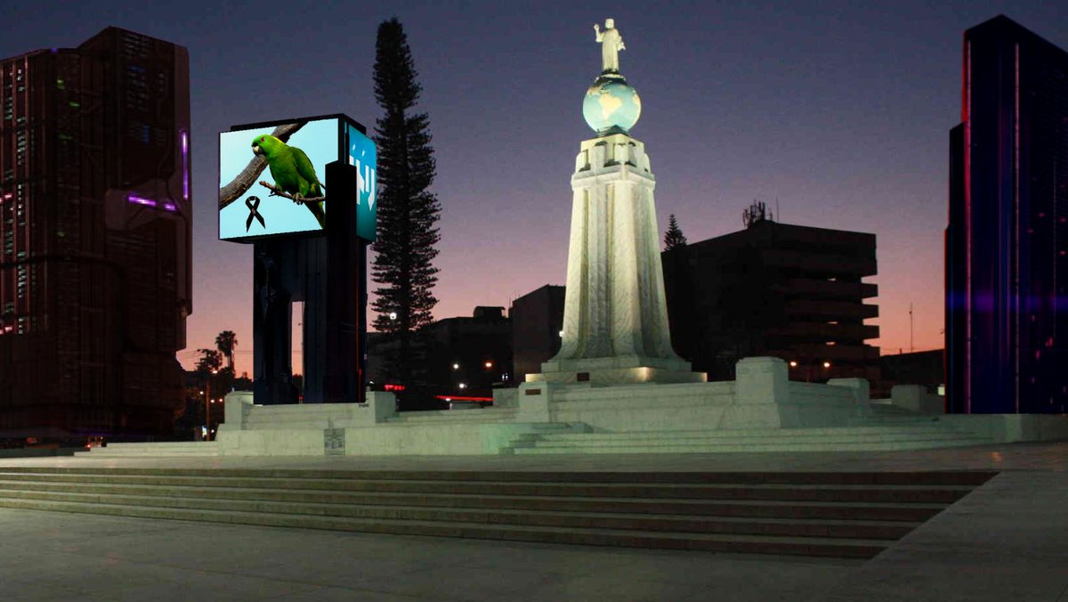 ElSalvadorBirds's tweet photo. ULTIMAHORA 14 de Abril 2053. Muere la última Lora Nuca Amarilla silvestre en los bosques del noroccidente de nuestro país. Esta especie que era tan abundante hace unos 30 años ya no podrá ser vista en la naturaleza en El Salvador. https://t.co/AArQ4d2c4G