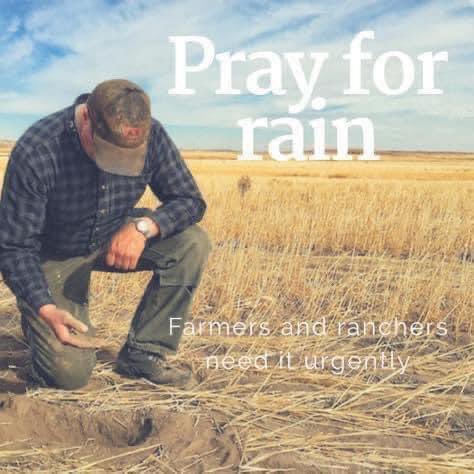 While many parts of the country are getting enough or too much rain, most of Kansas is in a severe drought. I encourage us all to pray for the blessing of rain and in the needed amount. God bless you!