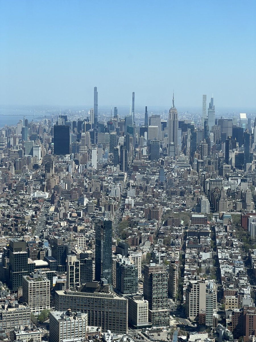 RaccoonGin tweet media