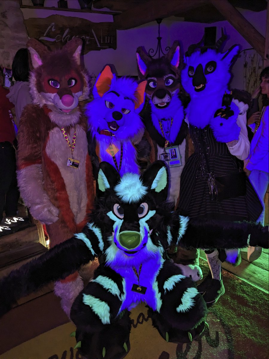 Had a fun time at <a href="/Awoostria/">Awoostria 🇦🇹</a> last weekend featuring

<a href="/watchterra/">watchterra 🇦🇹 🦊</a> 
<a href="/BigBork_Spirit/">Spirit 🇦🇹</a> 
<a href="/Inarifox_AUT/">🏳️‍🌈 Inari 🏳️‍🌈 🔜 GLC</a> 
@RengeTheSergal 
<a href="/AceraWolf/">Acera Wolf</a> (with super glowing stripes)
and many more :D 

Thanks to the organizers for making this possible 🪩