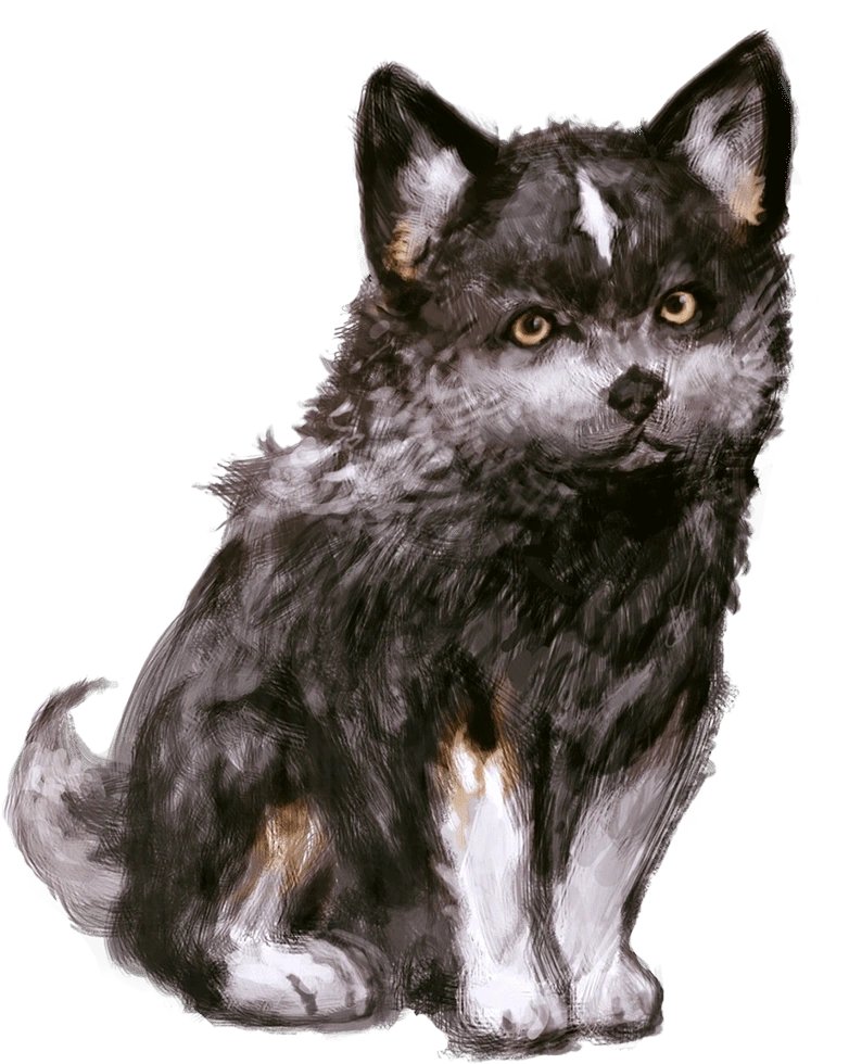 _Toxan's tweet photo. In Final Fantasy XVI ci sarà un doggo da pettare. https://t.co/tYJd0Y0l8t