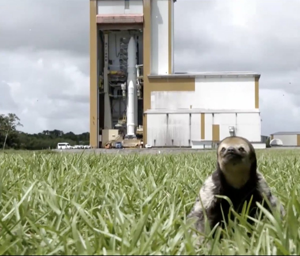 Uma das imagens mais sensacionais de hoje!!! A natureza e a tecnologia de ponta!!! Com um bichinho desse como testemunha não trm como nada dar errado!!! Aliás biólogos de plantão que animalzinho é esse?
#ESAJuice