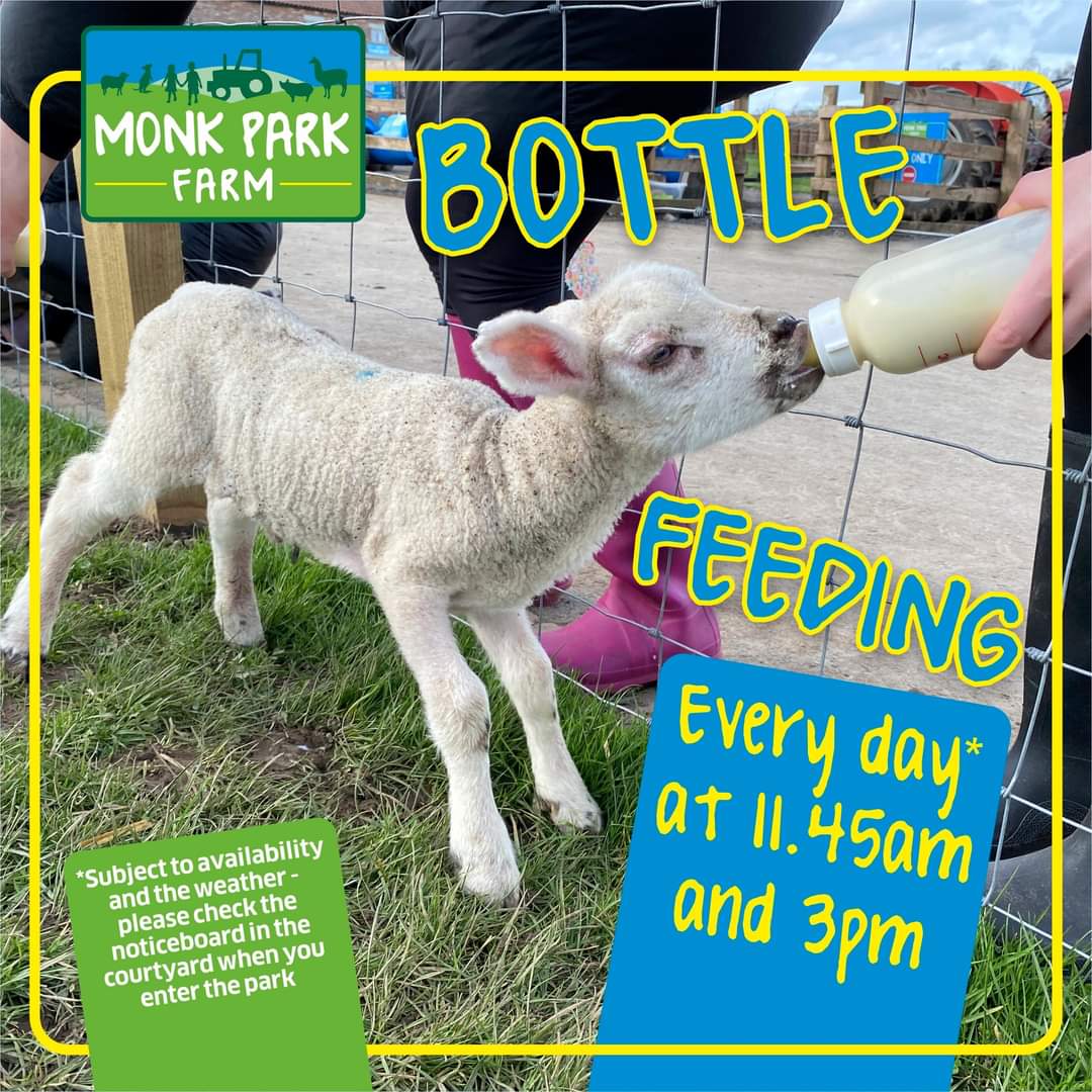 [Ad]
A great day at Monk Park Farm near Thirsk, North Yorkshire.

Lots of Easter fun for all the family..

monkparkfarm.digitickets.co.uk/event-tickets/…
