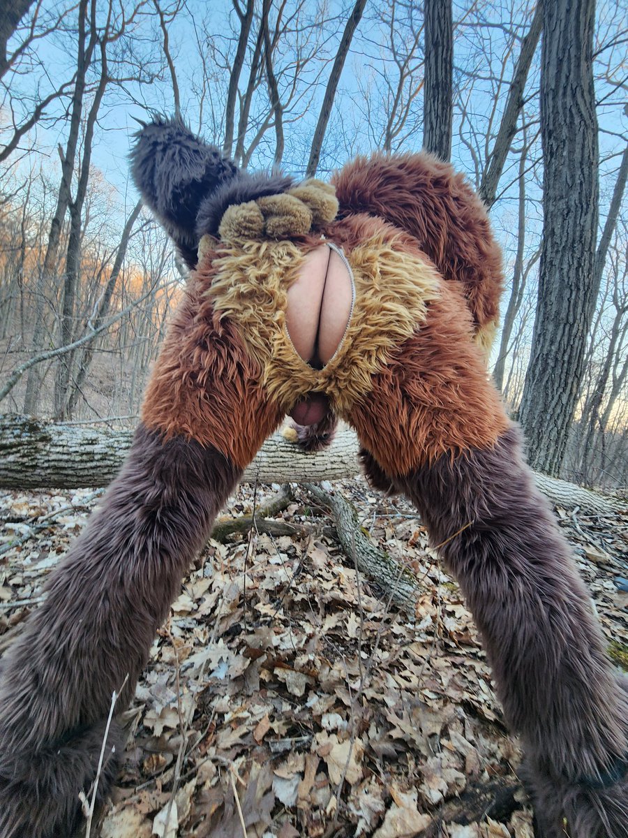 PupBlunt's tweet photo. <Insert pun about wood and ass>

<Or just insert your wood in my ass> 🌳 https://t.co/vDSxZ7vJLg