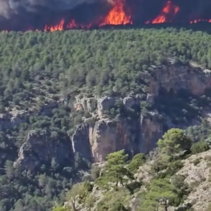 geaforestal's tweet photo. Cada vez que ocurre un incendio Forestal se nos encoge el corazón. 
Estos días hemos estado pendientes del incendio ocurrido en #Ocentejo, en el PN del Alto Tajo.
Gracias a todas las personas que han participado en su extinción.
#incendioforestal #IF #PNAltoTajo #CLM
#IFOcentejo https://t.co/GnDyLk0c5M