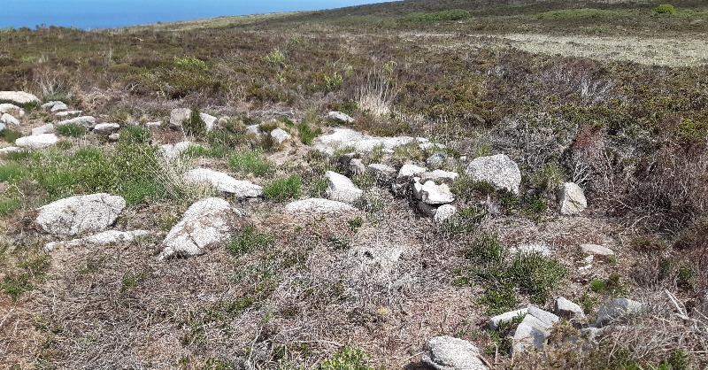By clearing Penwith’s ancient sites, we’ve helped preserve Cornish heritage and updated records to support future conservation. This has reconnected locals to the landscape and unearthed some sites for the first time in decades! #LovePenwith #NationalLotteryHeritageFund
