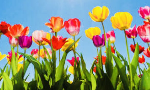 GueriniSeverine's tweet image. Très très bonnes vacances à la #zoneB! Bon repos surtout! On recharge les batteries 🪫!