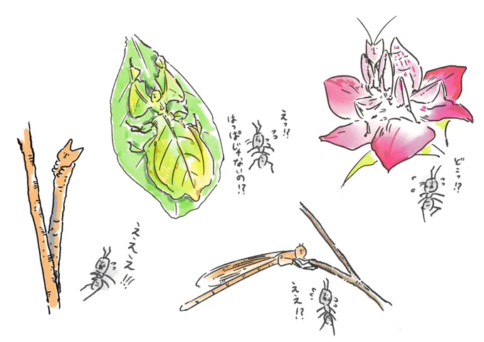 虫かきました🐞。 