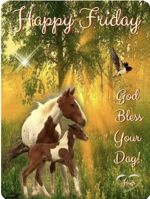 Good Morning. Have a Beautiful Blessed Friday 🙏🤗❤️