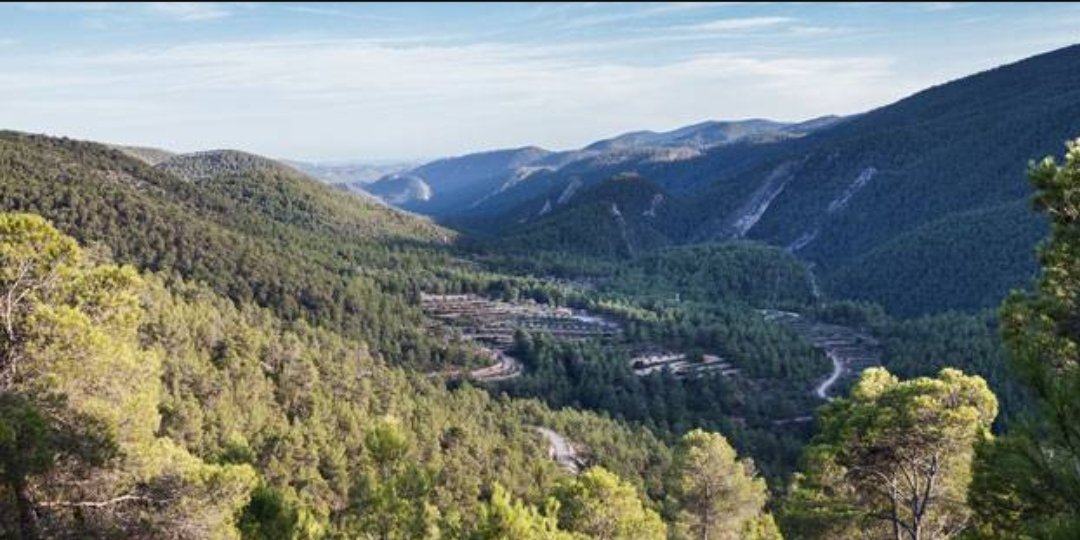 Transición Ecológica adjudica casi un millón de euros para la mejora y mantenimiento de los valores ambientales de las dos reservas de la biosfera de la Comunitat Valenciana. 
Más información en el siguiente enlace:
tinyurl.com/2asyr23b

#rincondeademuz #casasaltas #casasbajas