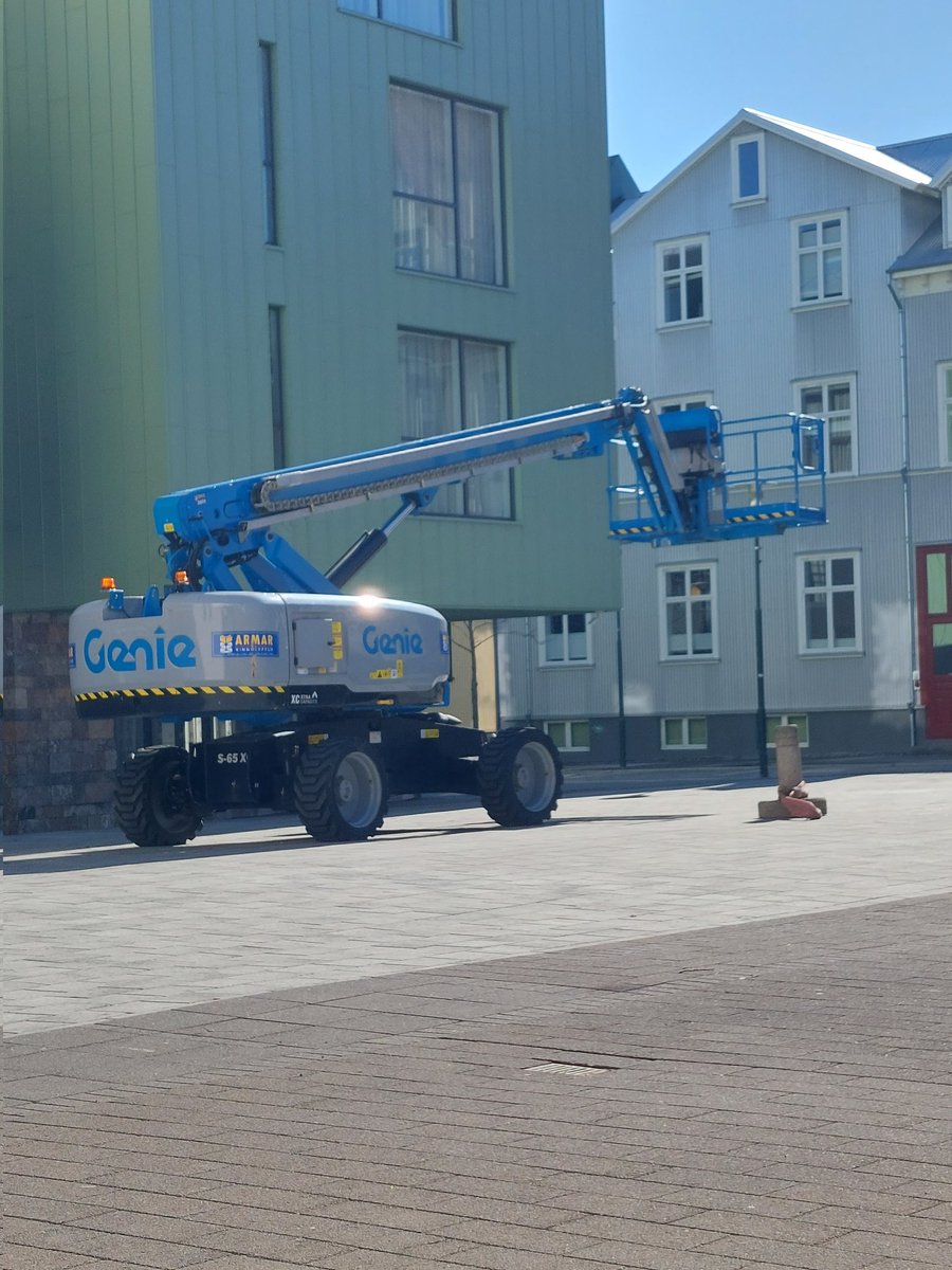 Það er en lille fugl í óðaönn að byggja sér hreiður inn í þessari vinnulyftu 😔
Talar einhver fugllensku? Nennir sú manneskja að koma niðrí Fógetagarð og vara hann við því að heimili hans getur horfið á skotstundu?