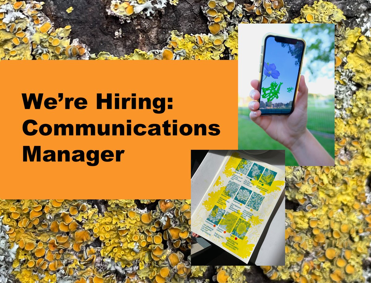 Rule of Threes Arts tweet media