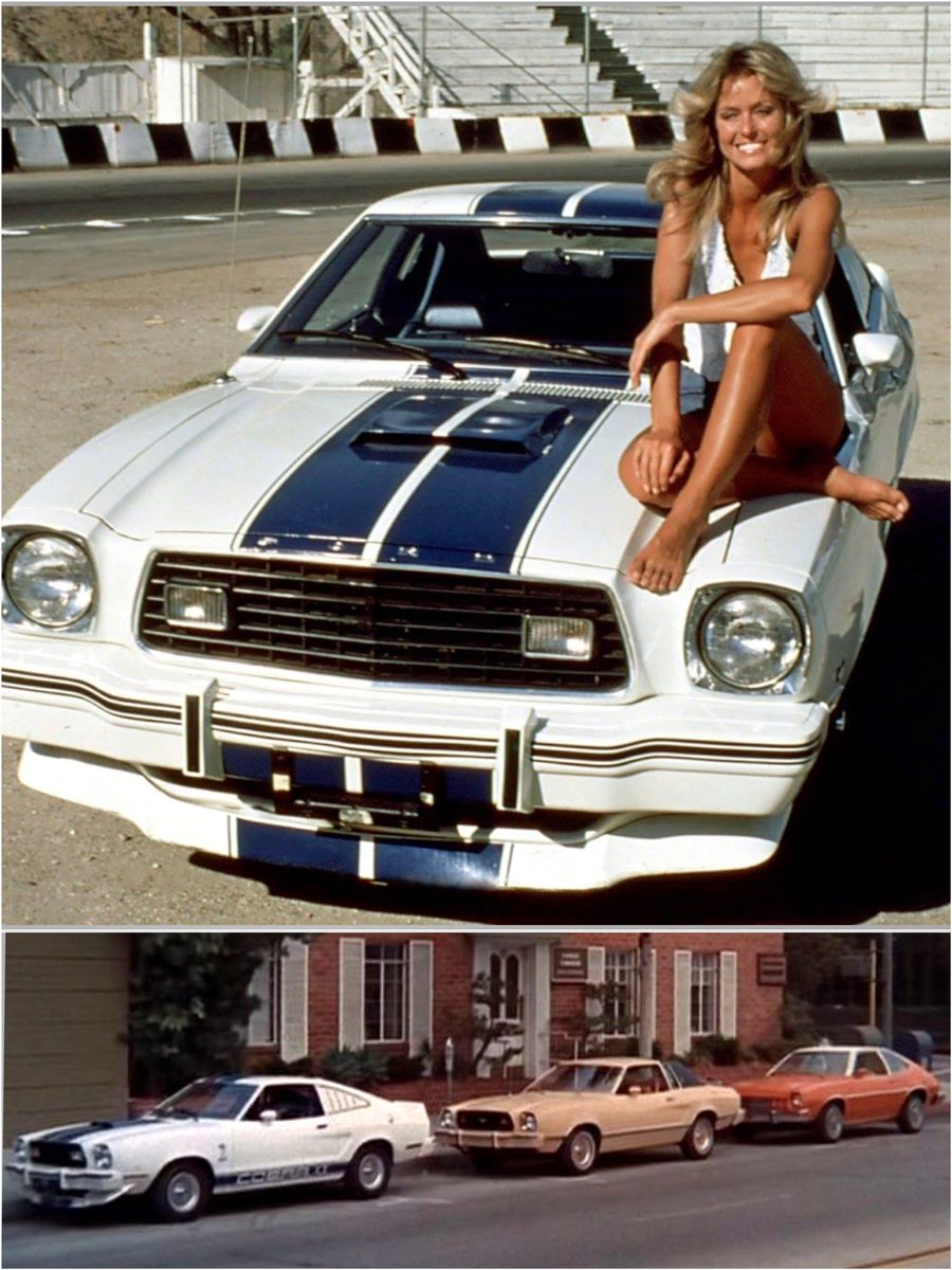 Stars and Cars tweet media