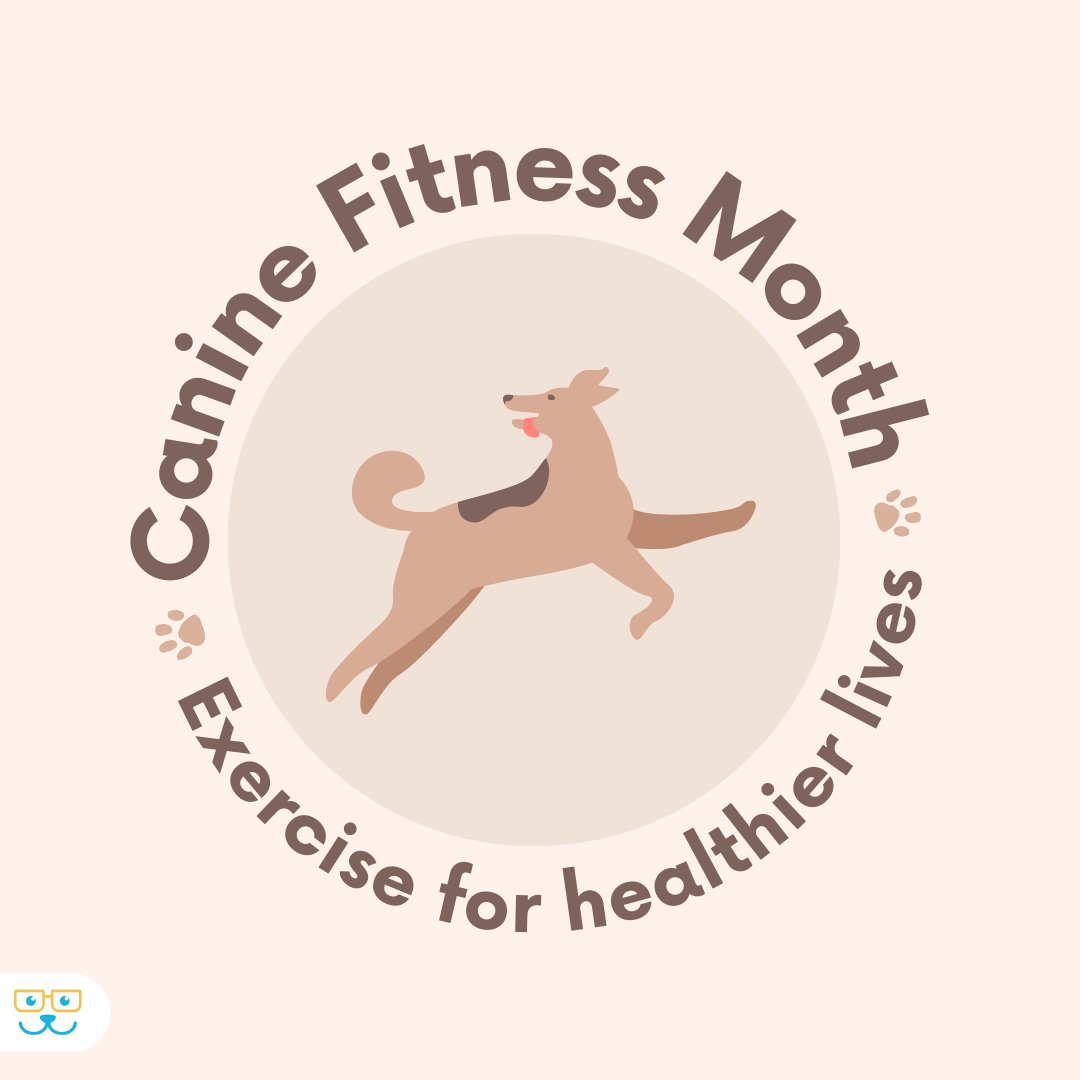 It's Canine Fitness Month! Time to get those tails wagging and those paws moving! #vieravet #caninefitnessmonth #caninefitness #dogfitness #dogexercise