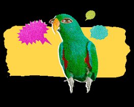 Lucafi0's tweet image. FUCK YOU
YOU STUPID FUCKING BIRD