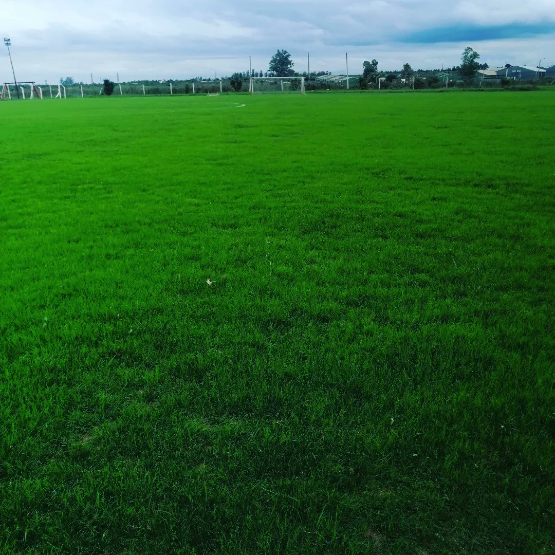 RiverFlorida's tweet photo. Se vino el verde en el 18 de mayo⚽🥅😂😂... Siembra, fertilización y mantenimiento del cesped para que la mimosa⚽ ruede sin dificultad
#entretodosesposible 🔴⚪ https://t.co/E4LyKqS7ai