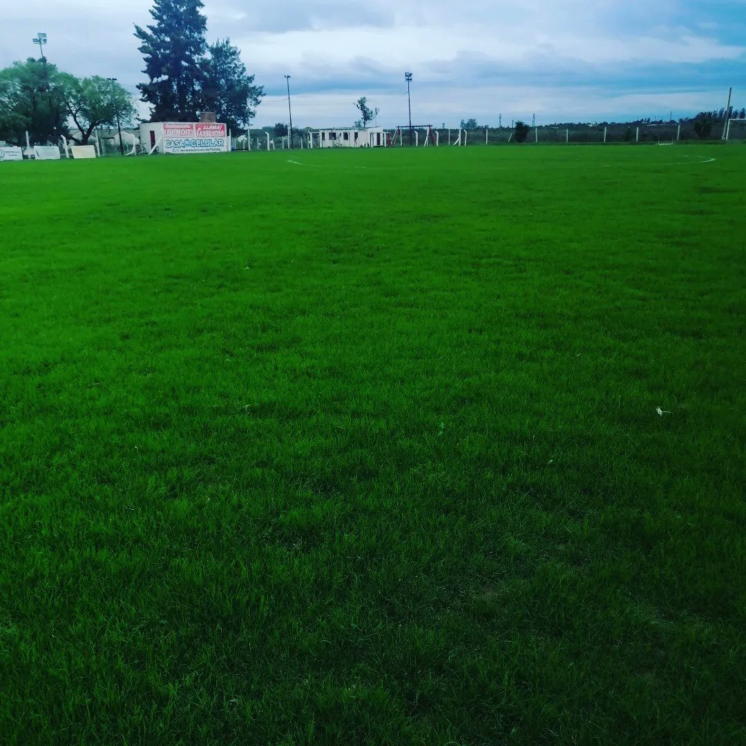 RiverFlorida's tweet photo. Se vino el verde en el 18 de mayo⚽🥅😂😂... Siembra, fertilización y mantenimiento del cesped para que la mimosa⚽ ruede sin dificultad
#entretodosesposible 🔴⚪ https://t.co/E4LyKqS7ai
