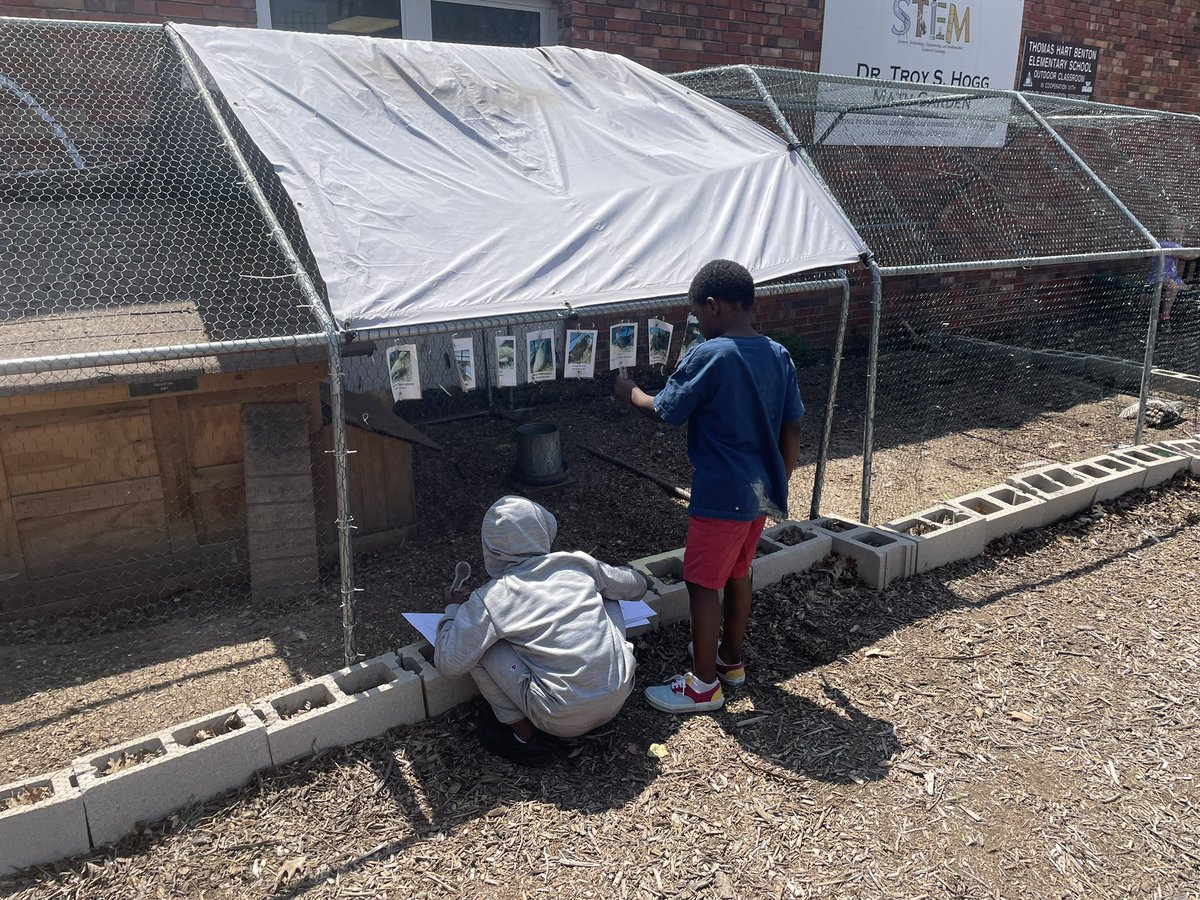 Heather McCullar tweet media