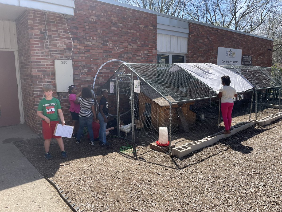 Heather McCullar tweet media