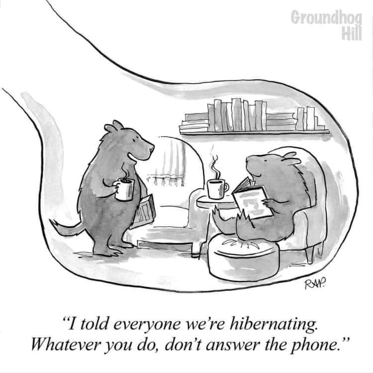 KalearahL's tweet photo. This is my #FridayFeeling! So how about a #writerslift ?

#writers please drop a link to your latest #book, #BookReview, or #BookTrailer 
#readers have a scroll 
Everyone please retweet 

#WIP #books #bookboost #BookLover #BooksWorthReading #IndieApril #IndieBooks #selfpromo https://t.co/Pw1bO9DTM4