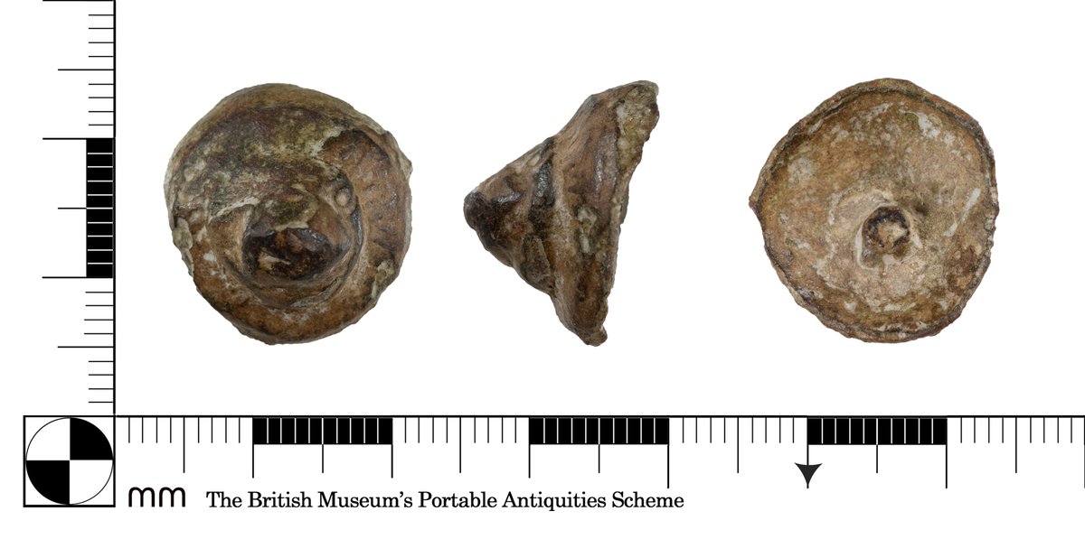For #FindsFriday a recently recorded Roman lion headed mount, possibly from a cremation casket. He's a bit worn about the face with one eye surviving and surrounded by a thick mane. A lovely find from #WestSussex.  
Full Record Link: finds.org.uk/database/artef…