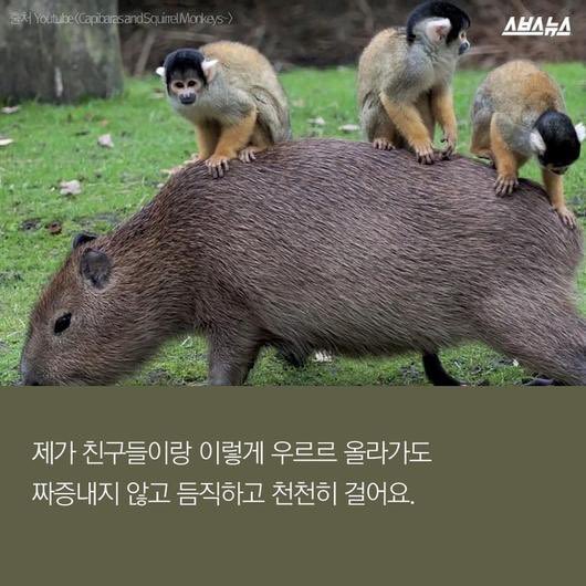 오승희 tweet media