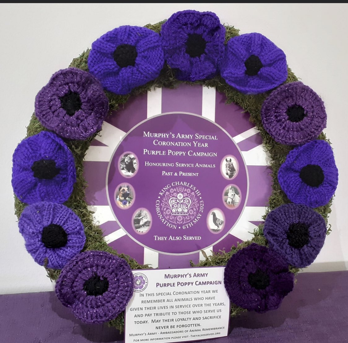 Murphy's Army Purple Poppy Campaign tweet media