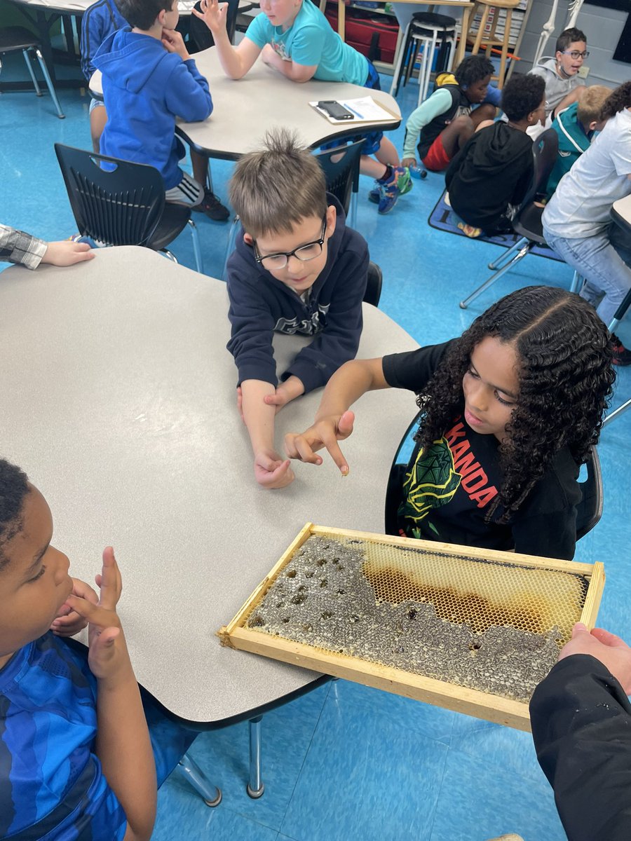 Heather McCullar tweet media