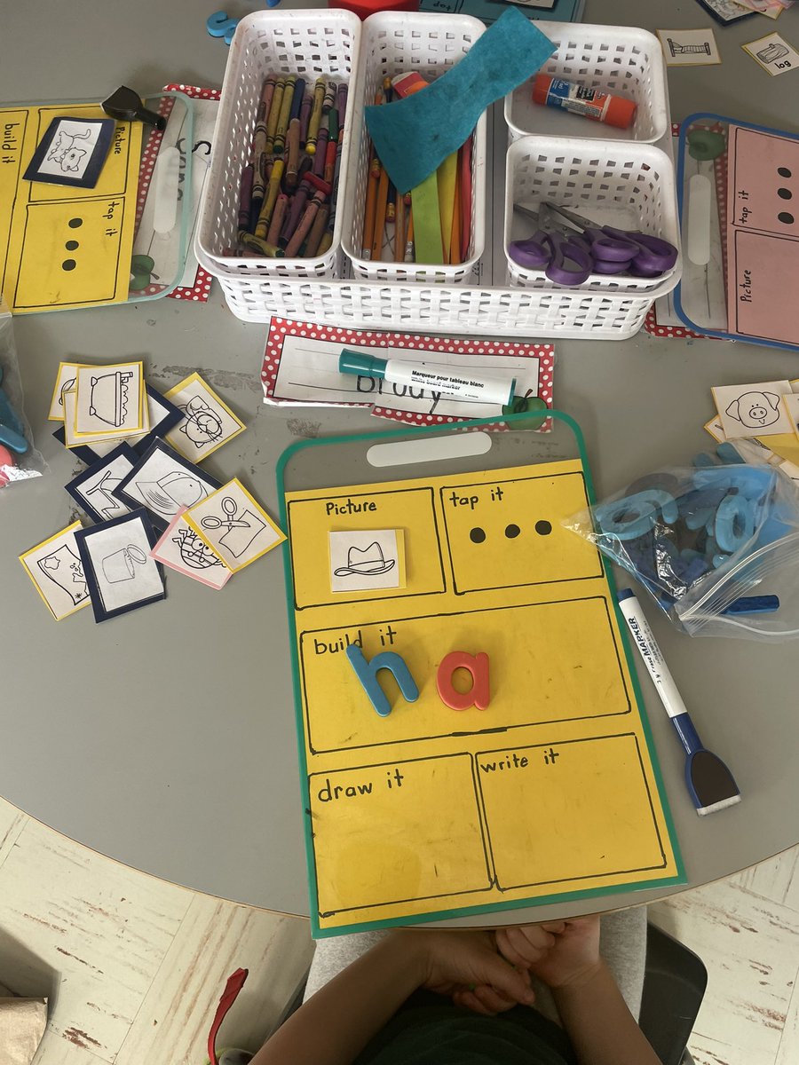 Ms MacDonald tweet media