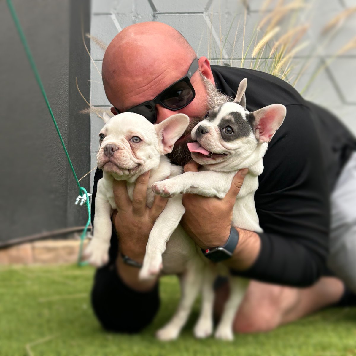 Happy Friday! 🤩
Our Tampa Printer family has grown by two, if you haven't met them already... Meet Lightning and Bolt! 🐾⚡ #tampaprinter #tampapuppies #tampabusiness