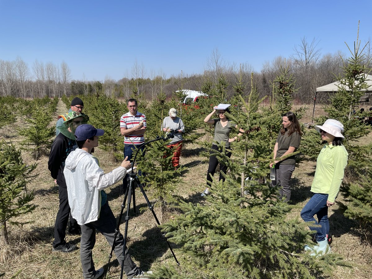 Ingo Ensminger tweet media