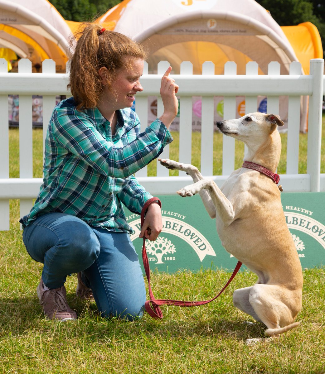 Thinking of something doggie to do this weekend? On Sunday, there's a regional heat for Scruffts - the national competition for non-pedigree dogs – at All About Dogs Show, Newbury RG18 9QZ – registration from 11am, judging starts at 12.30pm. More bit.ly/3zZVjh8