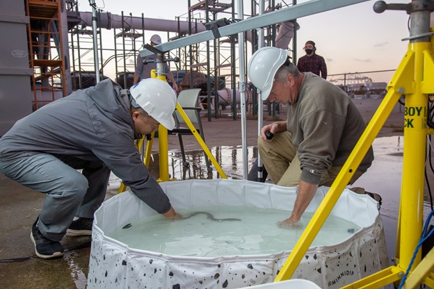 NatelEnergy's tweet image. The @IJCsharedwaters recently published a piece about Natel's RHT and our #fishpassage tests, all of which have produced &amp;gt;98% safe passage for species of concern in US-Canadian #waterways.

ow.ly/LlkL50NHgbg

#sharedwaters #transboundary #ecohydraulics #riverscience #hydro