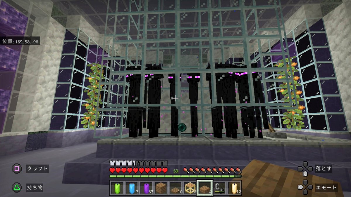 Hyoue_minecraft's tweet photo. 画像も https://t.co/qTbXF4wviN