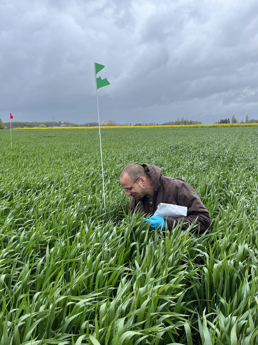 Christophe Mougel tweet media