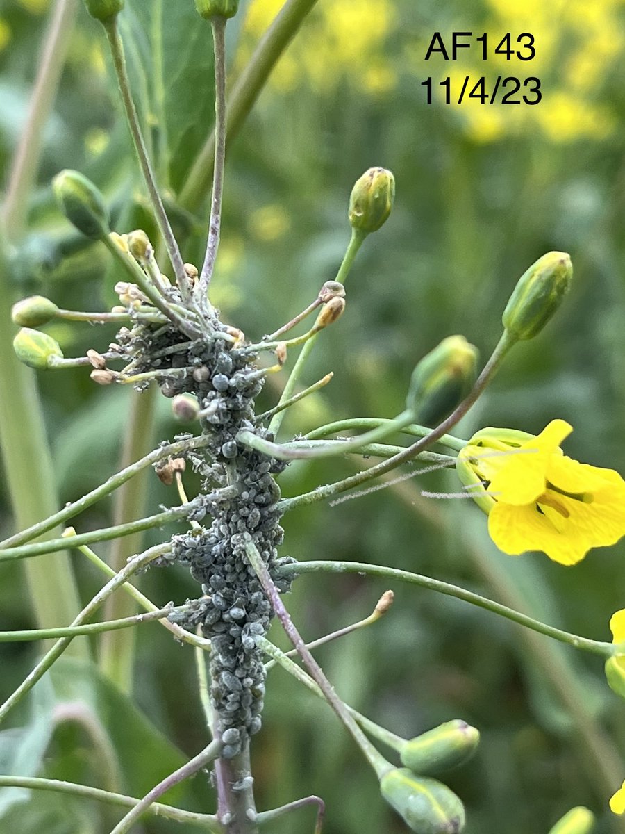 Christophe Mougel tweet media