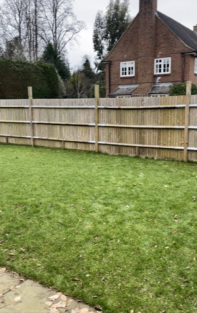 ck_works's tweet image. 25 metres of fabulousness just completed. 
#privacyscreening #treeplanting #surreygardendesign