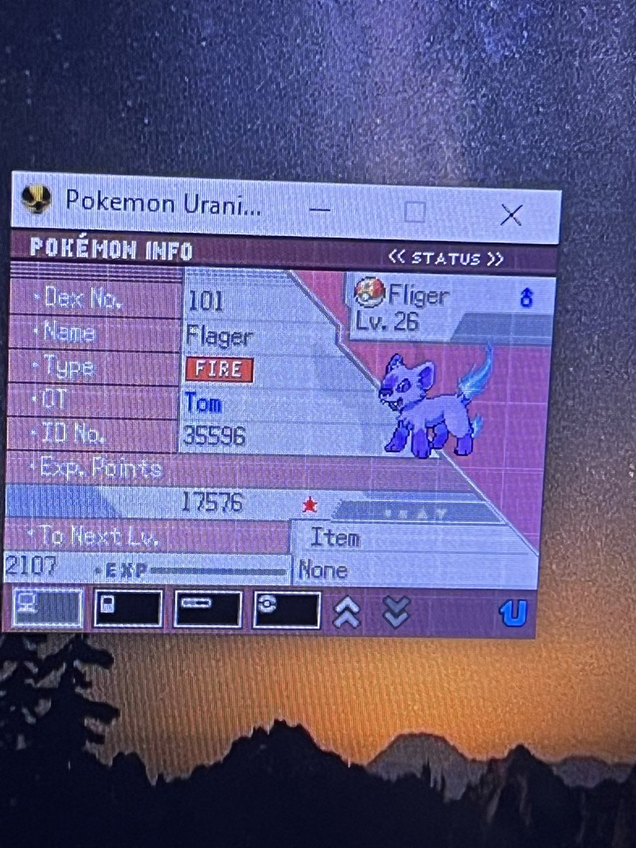 Tsgnwn's tweet photo. Shiny flager after 95 random encounters in uranium with shiny charm (this one's now an inflagetah, 108/194) #pokemon #shinypokemon #flager #inflagetah #pokemonuranium https://t.co/a46hyVMiaw
