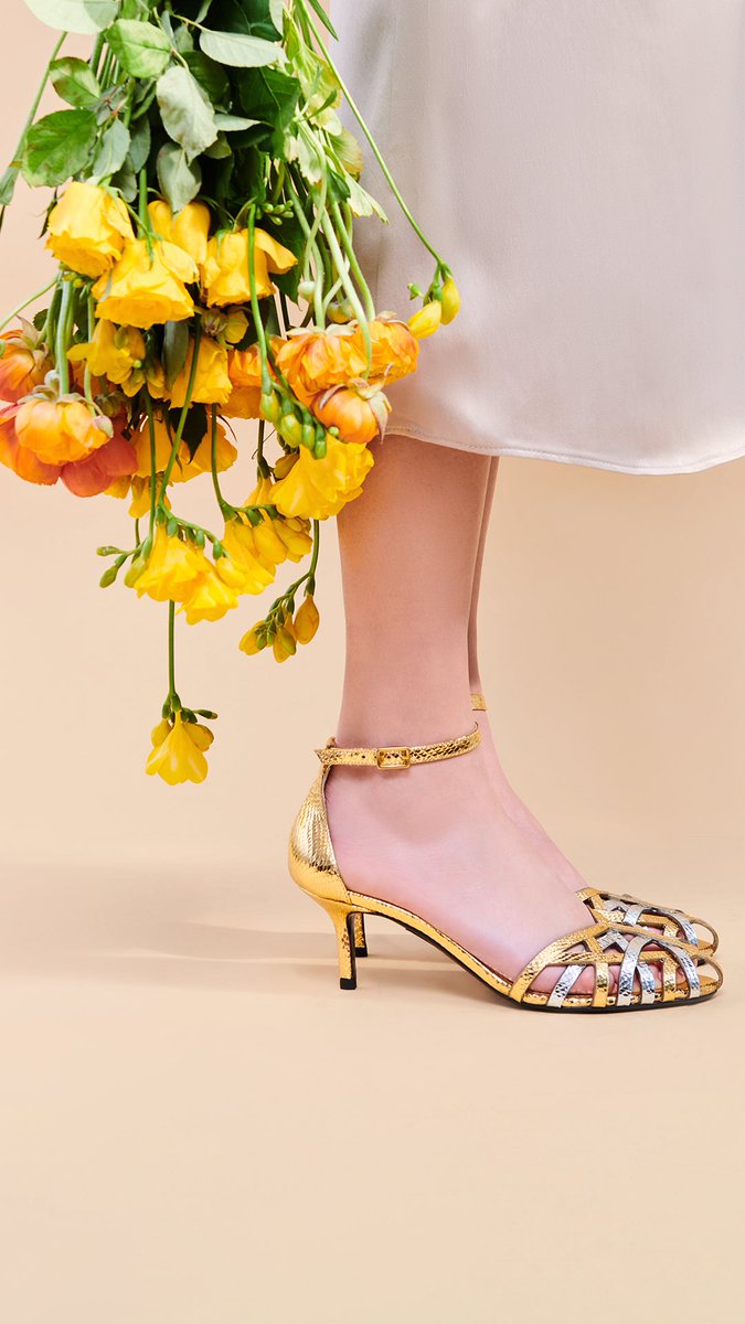 Fabi_Shoes's tweet photo. Flowers! https://t.co/POUXu3MAoY