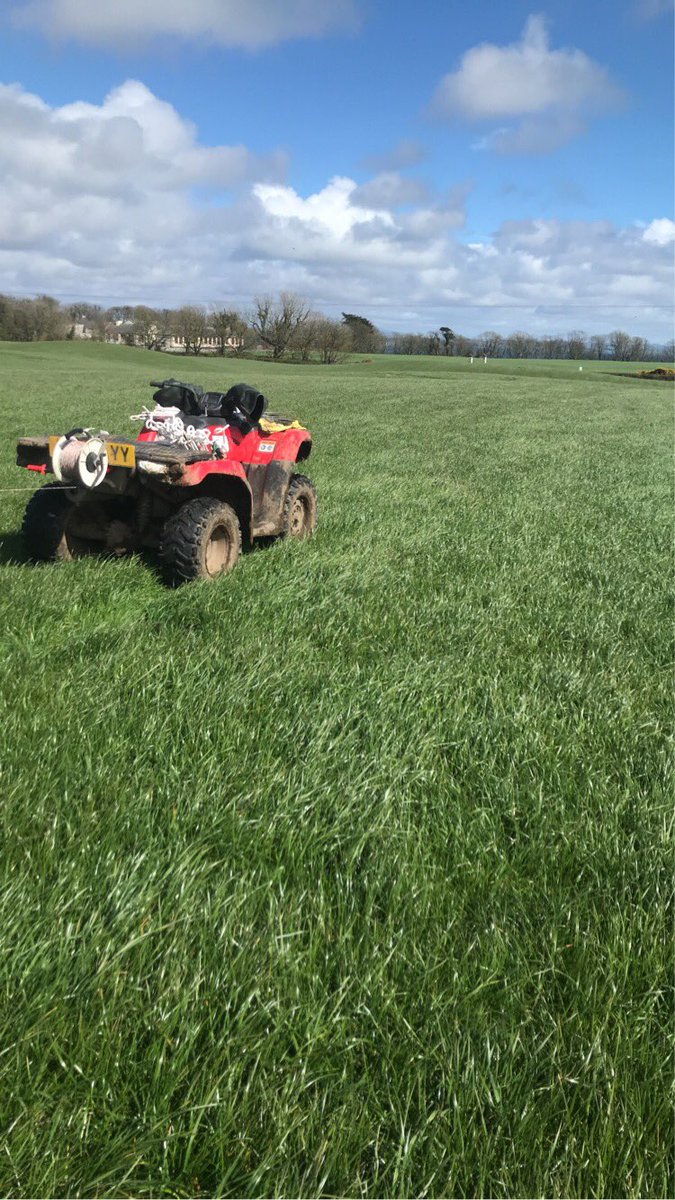 Scott_Service3's tweet photo. Cows enjoying the 2nd round and some sun on their backs after a wet week 👌🏻 ☀️ https://t.co/gMSp6GQgtE