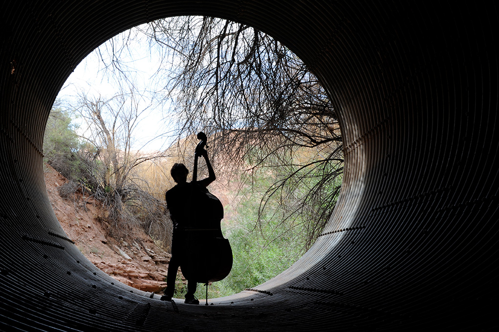 Day 16 (belated) - Dawn Redwood, very similar to the Bald Cypress, is native to China and can be distinguished by the deep grooves that form under each branch. 

Join us on April 22 <a href="/awburyarboretum/">Awbury Arboretum</a> for some deep musical grooves by Eve Beglarian and Brent Michael Davids!